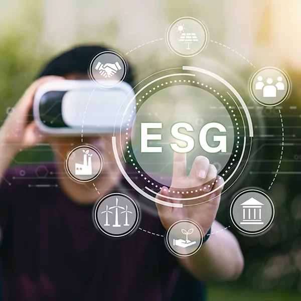 Provide Immersive Experiences