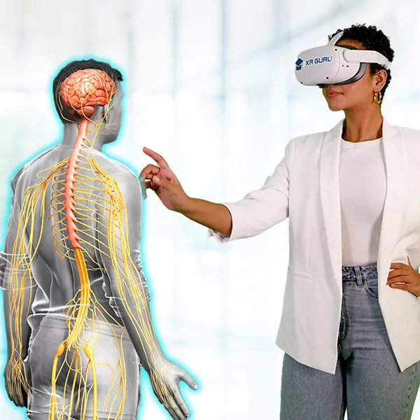 Offers Powerful Visualization